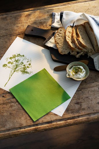 Bio Dunisoft serviet 40 x 40 cm Mrkegrn 360 Stk/kart