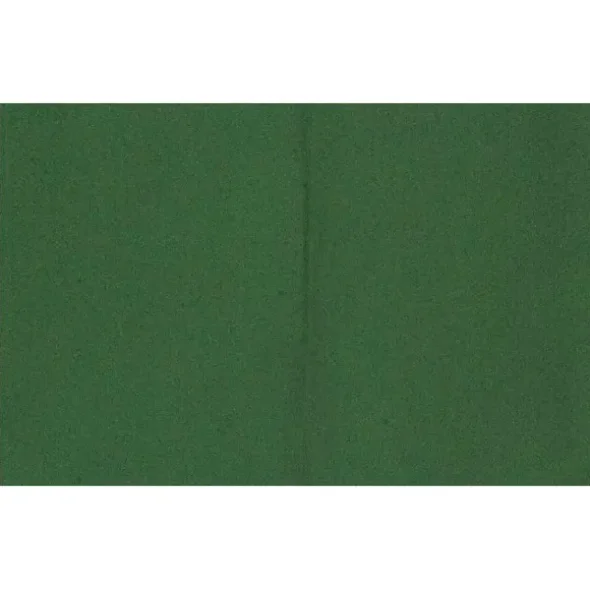 Dkkeserviet Grn 60 g, 40x30 cm 1000 stk